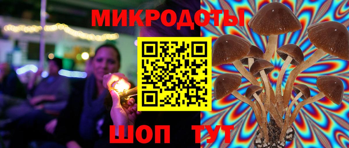 Галлюциногенные грибы прущие грибы  Вход с VPN  Саянск 